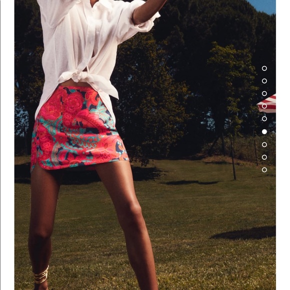 Zara || Short Printed Skirt - Picture 5 of 11